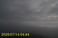 Img20260714_044408.jpg