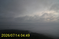 Img20260714_044908.jpg