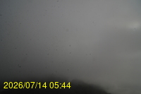 Img20260714_054408.jpg