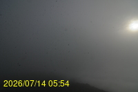 Img20260714_055408.jpg