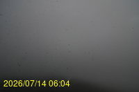 Img20260714_060408.jpg