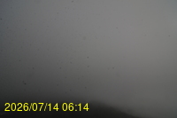Img20260714_061408.jpg