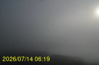 Img20260714_061908.jpg