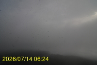 Img20260714_062408.jpg