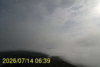 Img20260714_063908.jpg