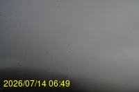 Img20260714_064908.jpg