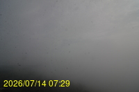 Img20260714_072908.jpg