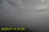 Img20260714_073908.jpg