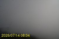 Img20260714_080408.jpg