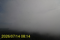 Img20260714_081408.jpg