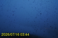 Img20260716_034416.jpg