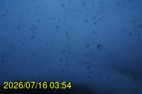 Img20260716_035416.jpg