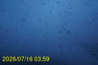 Img20260716_035916.jpg
