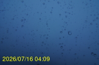 Img20260716_040916.jpg