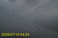 Img20260716_042416.jpg