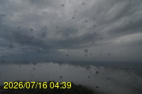 Img20260716_043916.jpg