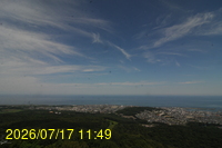 Img20260717_114921.jpg