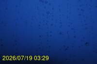 Img20260719_032928.jpg