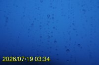 Img20260719_033428.jpg