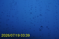 Img20260719_033928.jpg