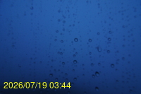 Img20260719_034428.jpg