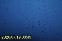 Img20260719_034928.jpg