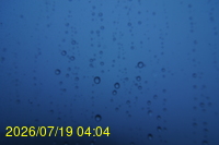 Img20260719_040428.jpg