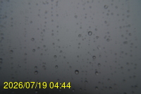 Img20260719_044428.jpg