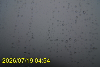 Img20260719_045428.jpg