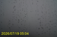 Img20260719_050428.jpg