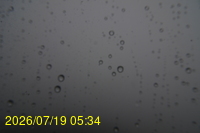 Img20260719_053428.jpg