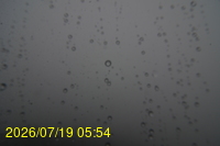Img20260719_055428.jpg