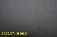 Img20260719_060429.jpg
