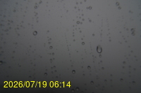 Img20260719_061429.jpg