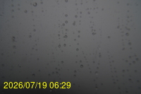 Img20260719_062929.jpg