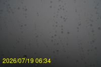 Img20260719_063429.jpg