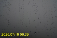 Img20260719_063929.jpg