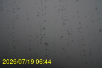 Img20260719_064429.jpg
