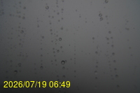 Img20260719_064929.jpg