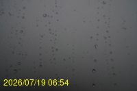 Img20260719_065429.jpg