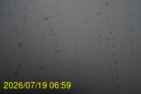 Img20260719_065929.jpg