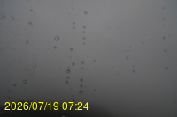 Img20260719_072429.jpg