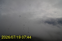 Img20260719_074429.jpg