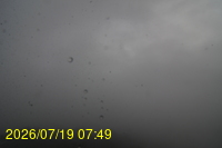 Img20260719_074929.jpg