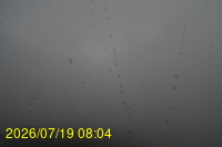 Img20260719_080429.jpg