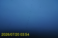 Img20260720_035432.jpg