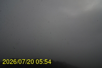 Img20260720_055433.jpg
