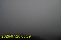 Img20260720_055933.jpg