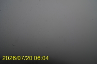 Img20260720_060433.jpg