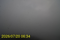 Img20260720_063433.jpg